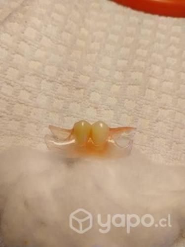 Reparación de prótesis dentales