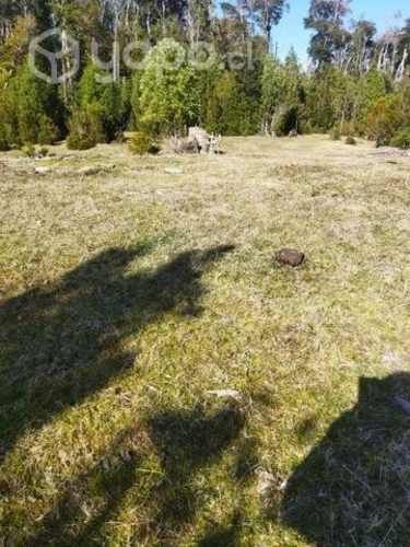 Hectarea en caleta manzano