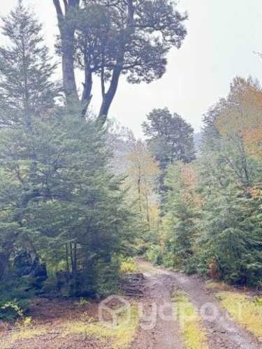 Proyecto Alturas de Curarrehue