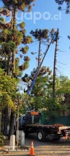 Arriendo camion pluma