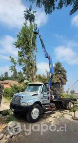 Arriendo camion pluma