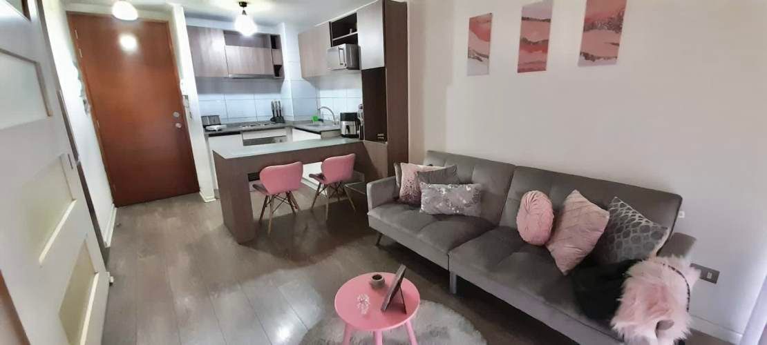 Venta Departamento Calle Santa Victoria Santiago