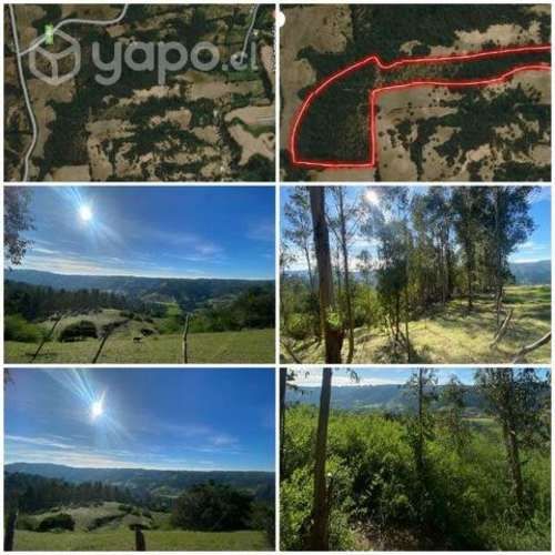 Terreno en Navidad, pupuya 3.25hectareas