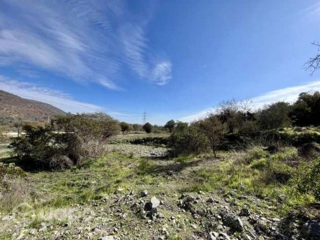 Parcela plana altos de olmue