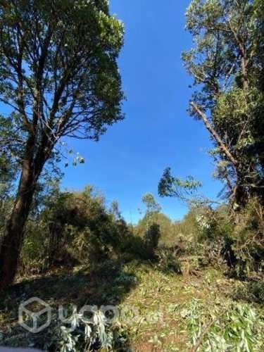 Parcela con casa recién construida