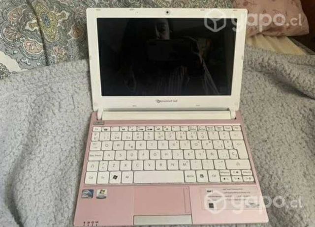Netbook rosado en muy buen estado