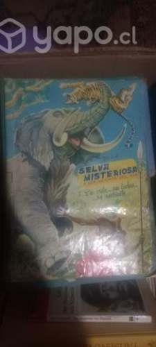 Álbunes antiguos de colección