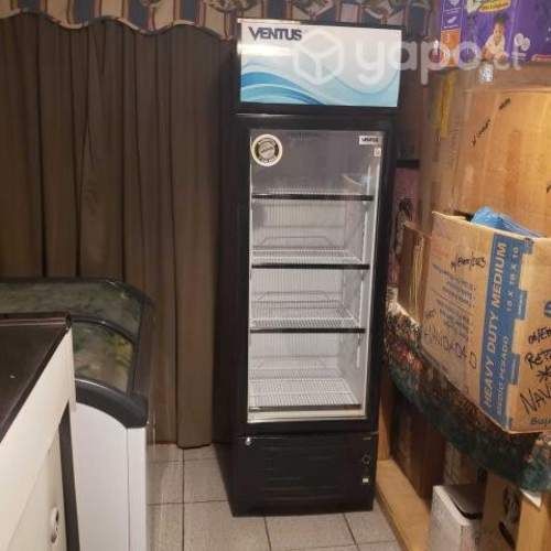 Visicooler 260 litros LG260