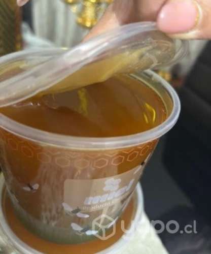 Miel de abejas, certificada
