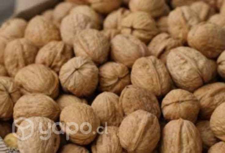 Nueces con cascara