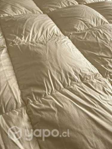 Plumón pluma pecho de ganso