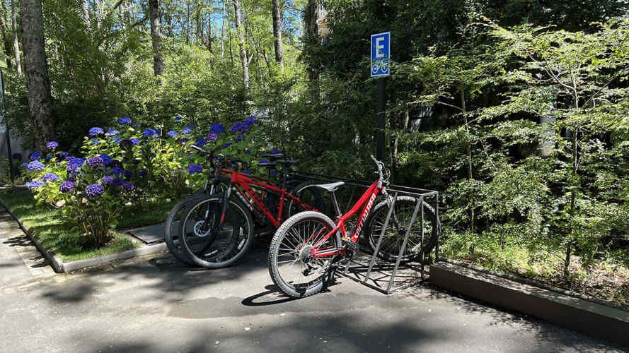 Arriendo depto 2D1B estacionamiento y bodega Pucón