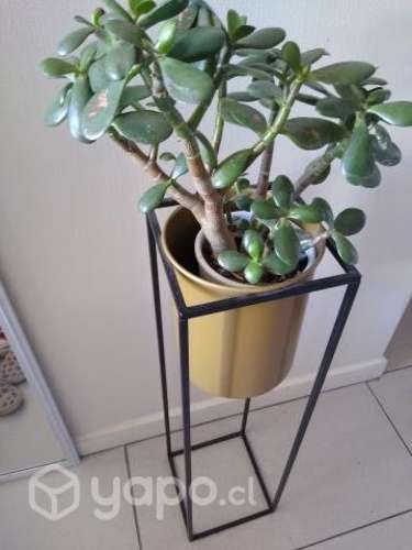 Porta macetero decorativo