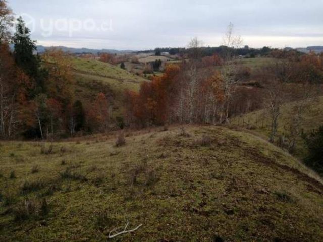 Terreno de 3.3 hectareas