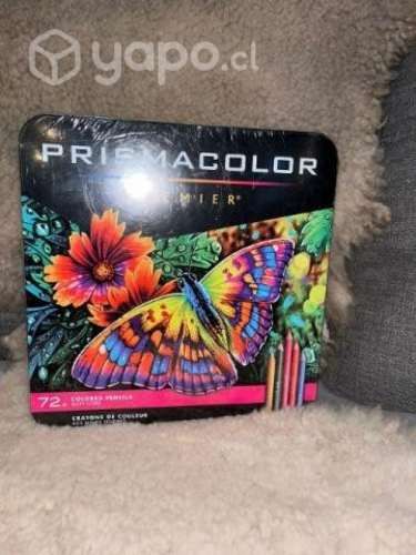 Lápices prisma color 72 unidades