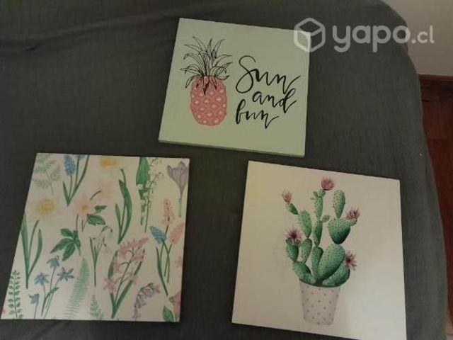 3 Cuadros lindos de plantas y piña rosa