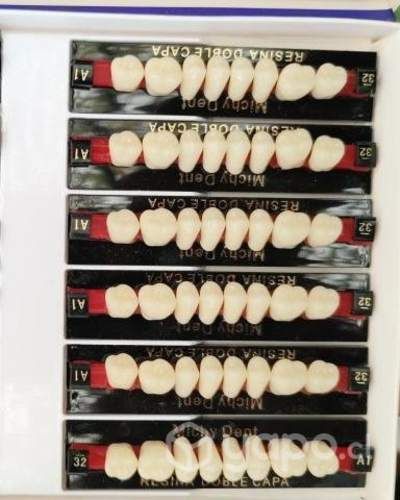 Dientes Doble Capa Michydent