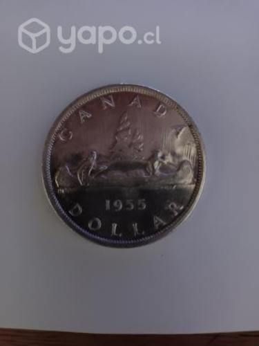 Moneda año 1995 de placa ( dólar canadiense )