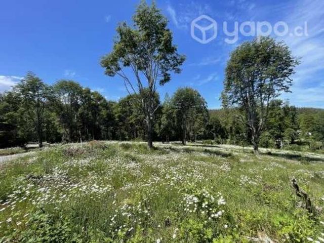 5.000 a 19.000 m2 cerca La Unión, estero, nativo, desde $20 Mill