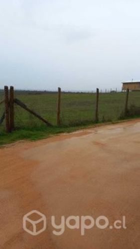Parcela 5000 M2 - Litueche - Las Damas