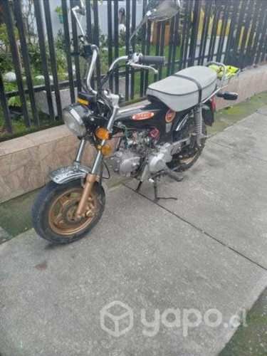 Moto modelo maxxis dax 125