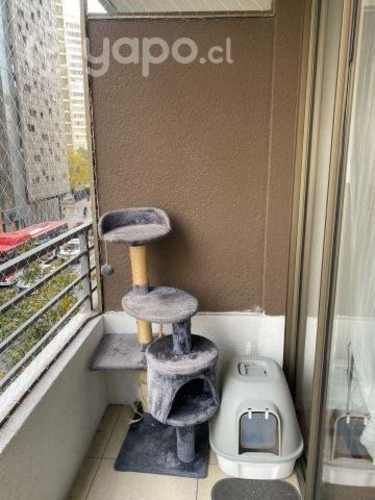 Rascador para gato + regalo