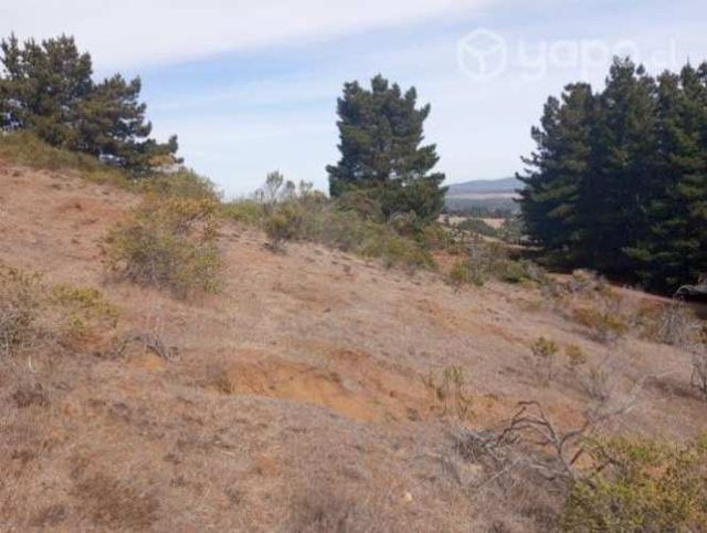 Parcela sector Chacurra, Cáhuil