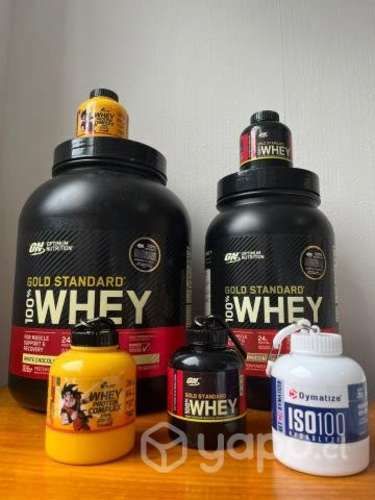 Contenedores proteína whey protein