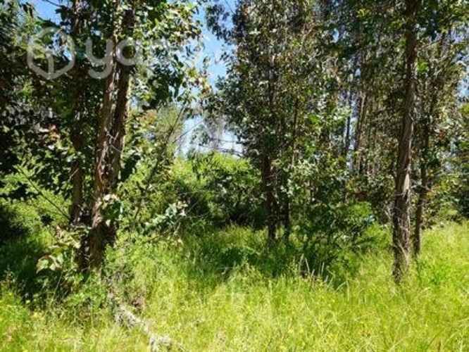 Parcela a 5 min del peaje agua amarilla