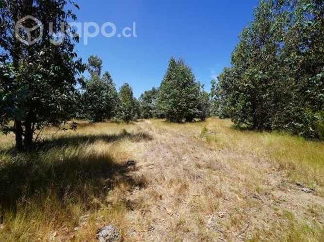 Parcela a 5 min del peaje agua amarilla