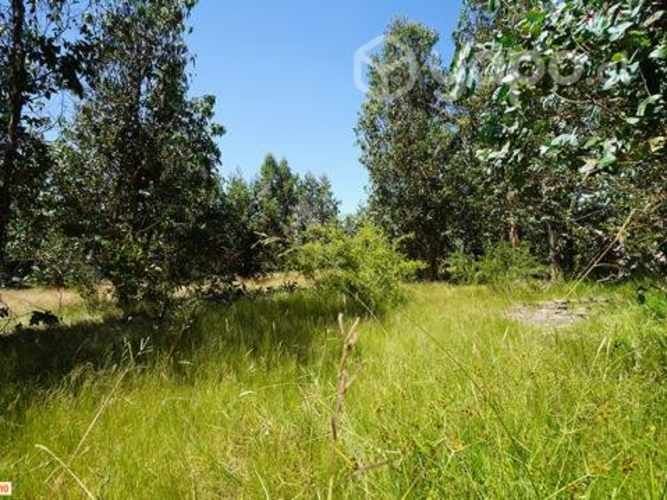 Parcela a 5 min del peaje agua amarilla