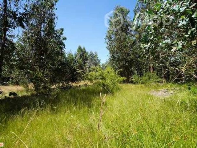 Parcela a 5 min del peaje agua amarilla