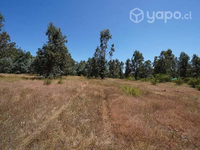 Parcela a 5 min del peaje agua amarilla