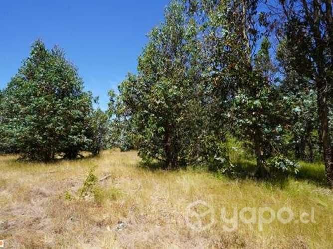 Parcela a 5 min del peaje agua amarilla