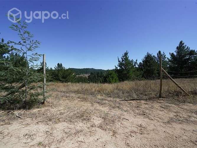 Parcela en Yumbel