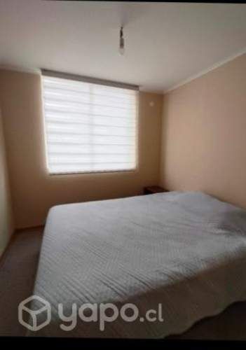 Arrienda habitación