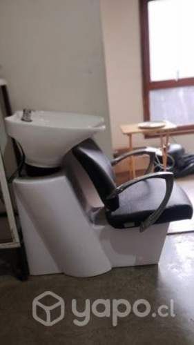 Lavapelos profesional + termo eléctrico