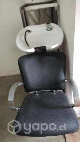 Lavapelos profesional + termo eléctrico