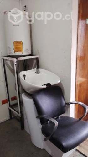 Lavapelos profesional + termo eléctrico