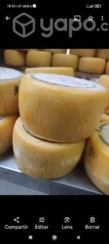 Queso Mantecoso Artesanal