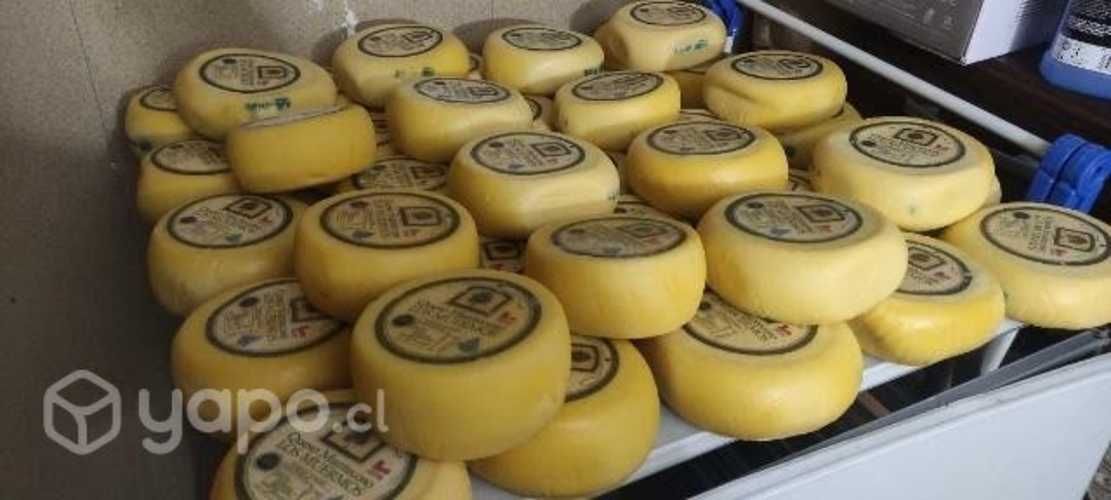 Queso Mantecoso Artesanal