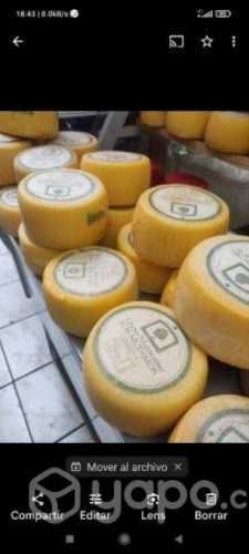 Queso Mantecoso Artesanal