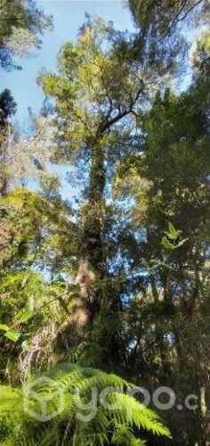 Preciosa parcela cerca de Valdivia