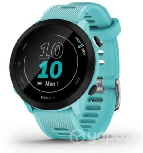 Smartwatch Garmin Forerunner 55/ 1.04