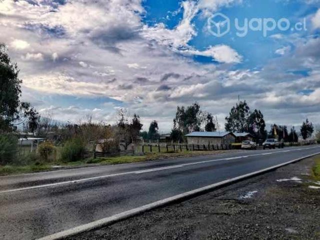 Terreno indígena a orilla de carretera Carahue-Pto