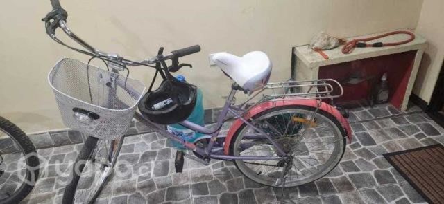 Bicicleta Oxford Modelo Mujer