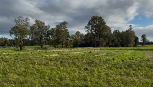 Últimas 4 parcelas a 15 min del lago Ranco desde $29 Mill