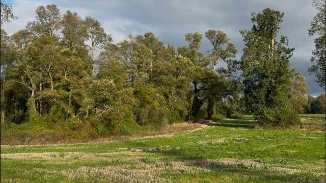 Últimas 4 parcelas a 15 min del lago Ranco desde $29 Mill