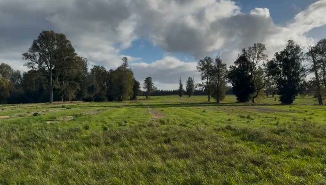 Últimas 4 parcelas a 15 min del lago Ranco desde $29 Mill