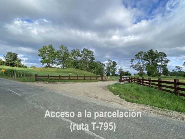 Últimas 4 parcelas a 15 min del lago Ranco desde $29 Mill
